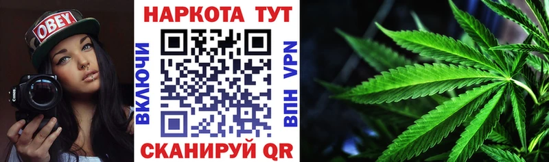 Как найти наркотики Шенкурск Бошки Шишки  МЕФ  Alpha-PVP  АМФ  КОКАИН  ГАШ 