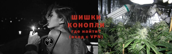 индика Верея