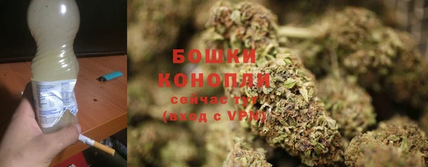 индика Верея