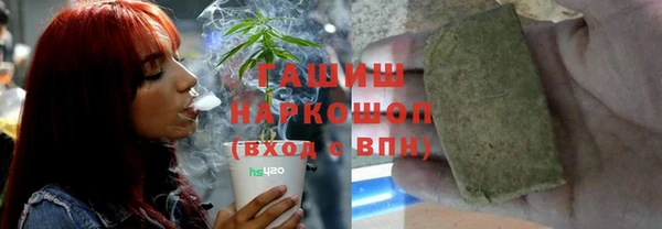 индика Верея