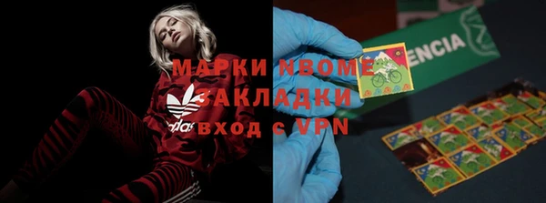 индика Верея