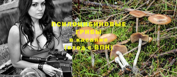 индика Верея