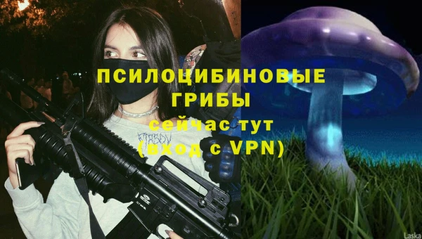 индика Верхнеуральск