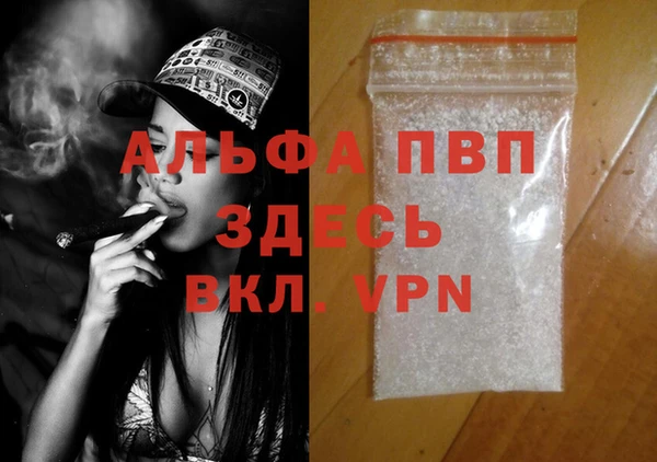 индика Верея