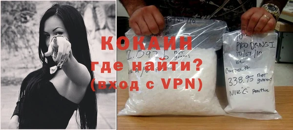 индика Верея