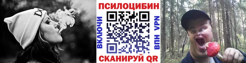 blacksprut ССЫЛКА  Шенкурск  Псилоцибиновые грибы Psilocybe 